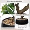 Artificial Bonsai Tree – 13" Small Bay Laurel Faux Potted Plant, Indoor Decorative Desk Plant with Ceramic Pot for Home, Office, Living Room, Bedroom, Bathroom, Table, or Shelf